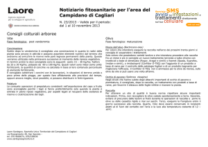 Notiziario fitosanitario per l`area del Campidano di Cagliari