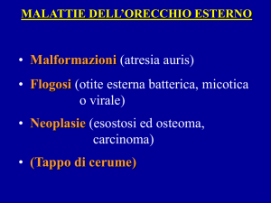 Diapositiva 1