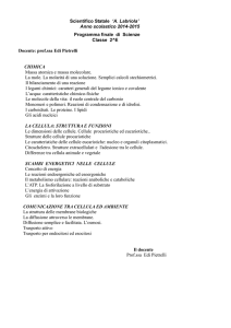 Scientifico Statale `A. Labriola` Anno scolastico 2014