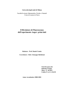 Il Rivelatore di Fluorescenza dell`esperimento Auger: primi dati