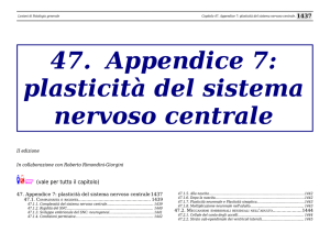 47. Appendice 7: plasticità del sistema nervoso centrale