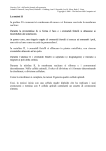 Script in italiano