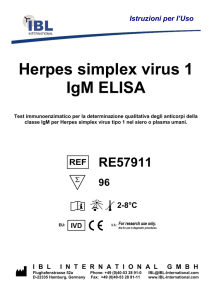 Herpes simplex Virus Type 2 IgG