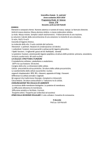 Scientifico Statale `A. Labriola` Anno scolastico 2015