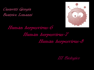 HHV-6 herpes virus umano di tipo 6