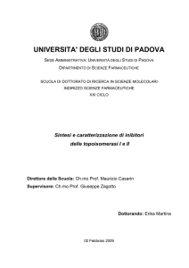 Documento PDF - Padua@Research