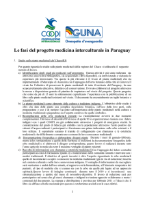 Le fasi del progetto medicina interculturale in Paraguay