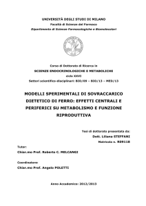 TESI STEFFANI LILIANA 2