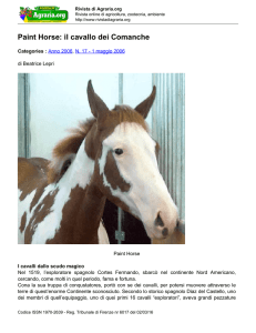 Paint Horse: il cavallo dei Comanche