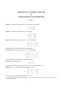 esercizi di algebra lineare e complementi di geometria