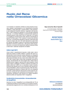 Ruolo del Rene nella Omeostasi Glicemica