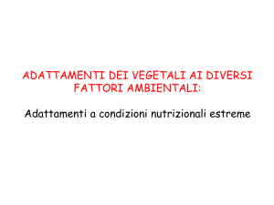 Lez9a_Condizioni nutrizionali