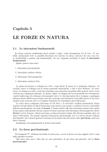 Capitolo 5: Le Forze in Natura