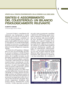 SINTESI E ASSORBIMENTO DEL COLESTEROLO: UN BILANCIO