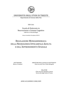 OpenstarTs - Universit&agrave; degli studi di Trieste