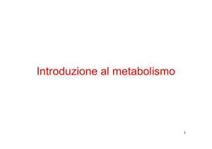 18-Metabolismo e termodinamica