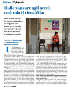 Dalle zanzare agli aerei, così vola il virus Zika