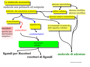 molecole di adesione ligandi per Recettori recettori di ligandi