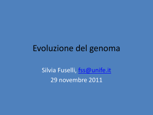 L`evoluzione del genoma - Sito dei docenti di Unife