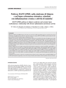 Pathway BAFF/APRIL nella sindrome di Sjögren e nel