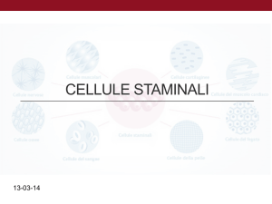 CELLULE STAMINALI