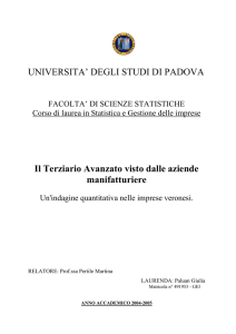 UNIVERSITA` DEGLI STUDI DI PADOVA Il Terziario Avanzato visto