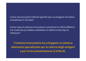 Immunologia 2 - Corso di Infermieristica