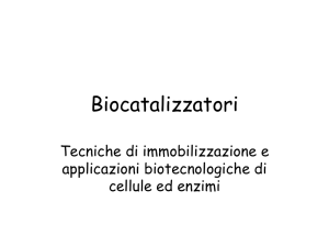 Biocatalizzatori - e