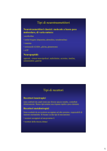 COL 06) Neuromediatori e recettori