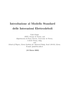 Introduzione al Modello Standard delle Interazioni Elettrodeboli