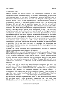 Prof. Calabrò 8-6-06 CARDIOMIOPATIE Patologia primitiva del