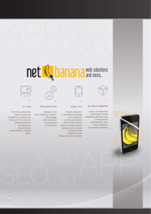 net bananaweb solutions and more
