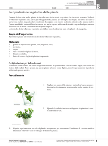 La riproduzione vegetativa delle piante