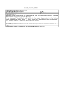 INSEGNAMENTO: STRUTTURA E FUNZIONE DI COMPOSTI