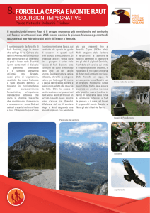 8.forcella capra e monte raut - Parco Naturale Dolomiti Friulane
