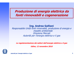 Produzione di energia elettrica da fonti rinnovabili e cogenerazione