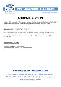 addome + pelvi - Studio Radiologico Guidonia