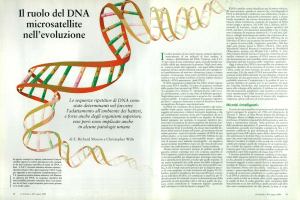 Il ruolo del DNA micro satellite nell`evoluzione