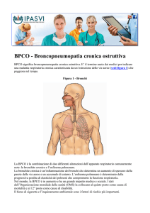 BPCO - Broncopneumopatia cronica ostruttiva