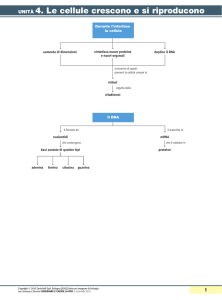unità 4. Le cellule crescono e si riproducono