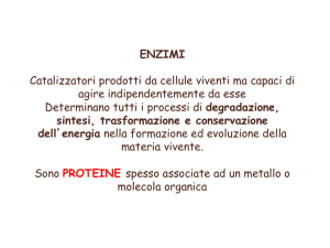 ENZIMI Catalizzatori prodotti da cellule viventi ma capaci di agire