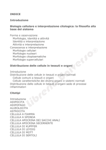 INDICE Introduzione Biologia cellulare e interpretazione citologica