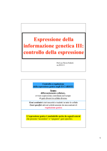 6) Espressione genetica III