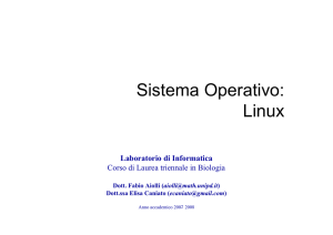 Sistema Operativo: Linux