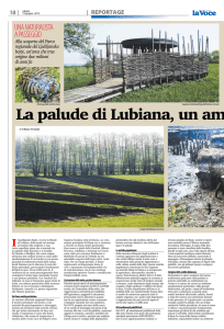 La palude di Lubiana, un ambiente che