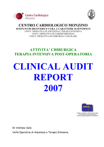clinical audit report 2007