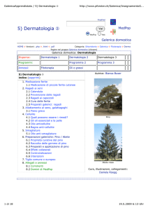 GalenicaApprendistato / 5) Dermatologia