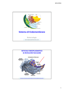 Diapositive sul RER