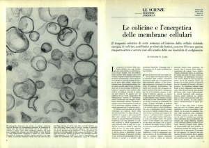 Le colicine e l`energetica delle membrane cellulari