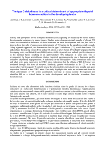 Scarica Documento PDF - Società Italiana di Endocrinologia
